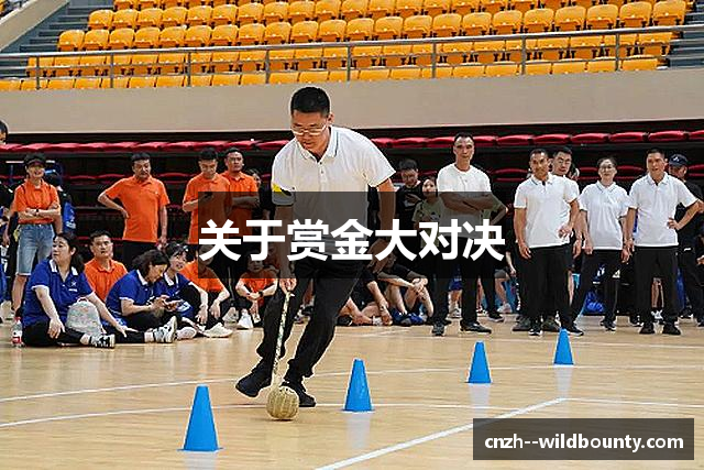 关于赏金大对决